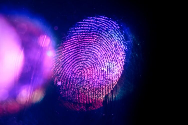 Fingerprint - biometrics and IDEMIA