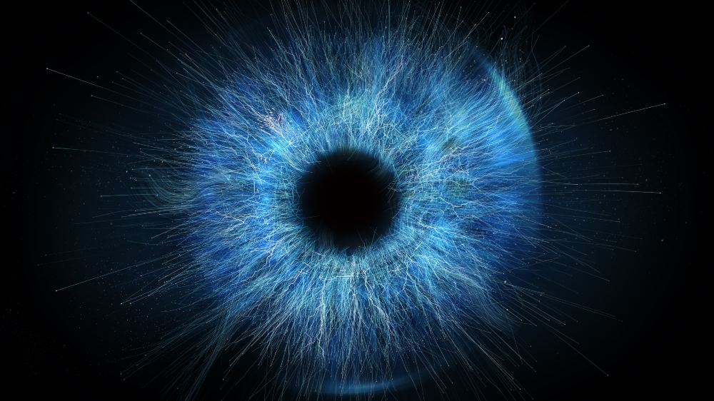 Blue iris - biometric recognition