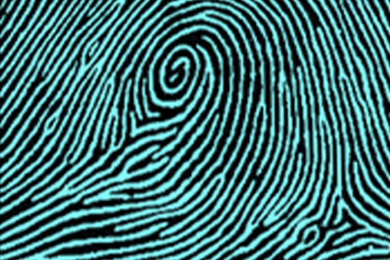 Central Pocket types of fingerprints