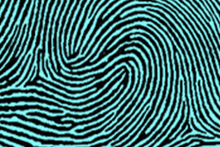Double Loop types of fingerprints