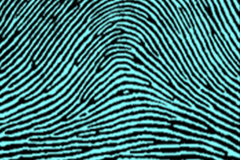 Plain Arch types of fingerprints