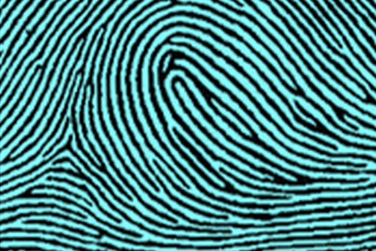 Radial Loop types of fingerprints
