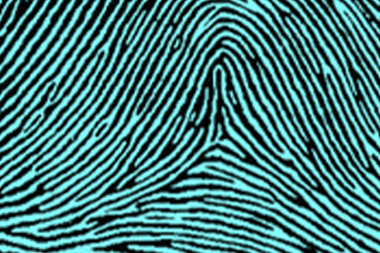 Tented Arch types of fingerprints