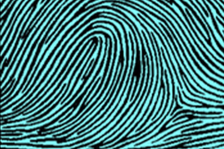 Ulnar Loop types of fingerprints