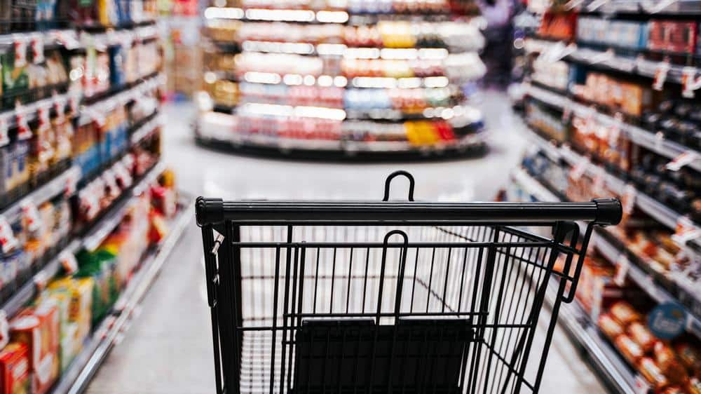 Shopping cart - retail security solutions