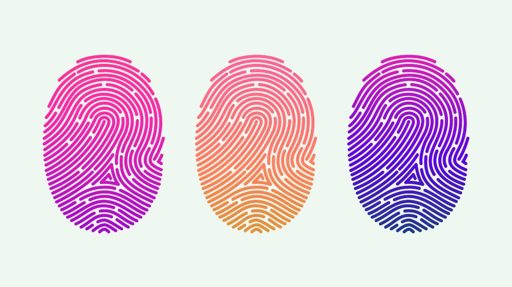 Fingerprints - used for biometrics