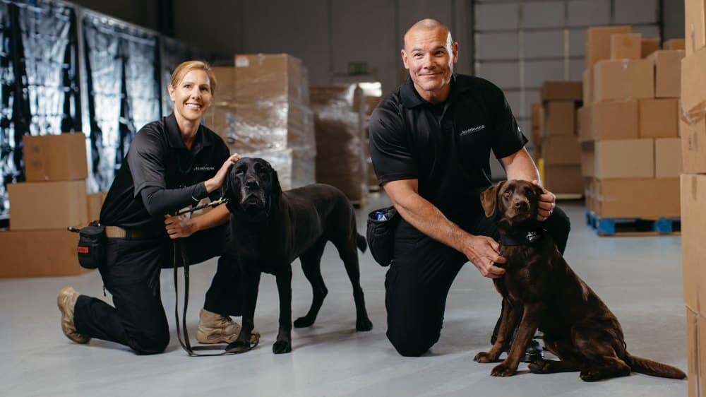 Allied Universal - new business unit