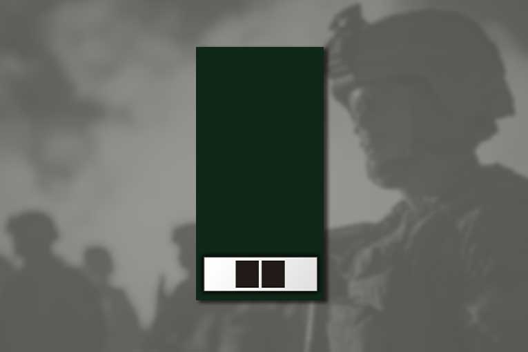 us army ranks chief warrant officer 2