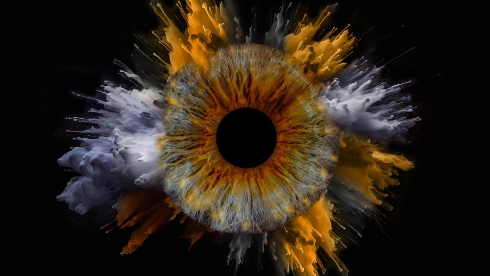 Iris - biometric data